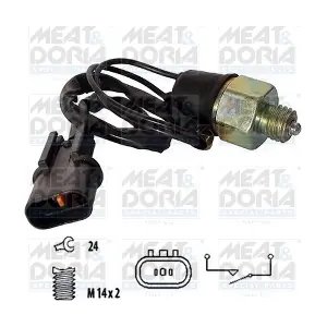 36077 MEAT & DORIA