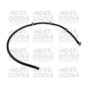 9795 MEAT & DORIA