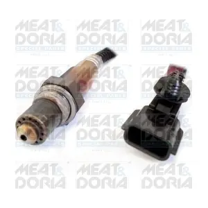 81791 MEAT & DORIA