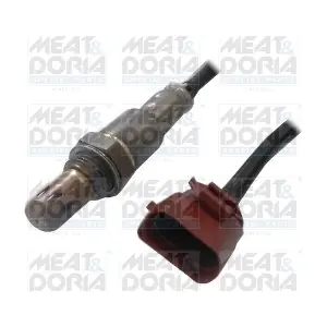81930 MEAT & DORIA