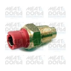 82432 MEAT & DORIA
