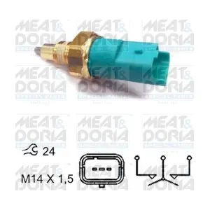 36013 MEAT & DORIA