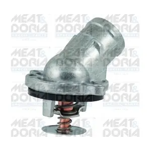 92599 MEAT & DORIA