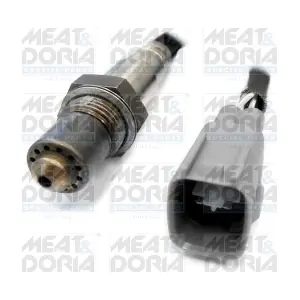 81796 MEAT & DORIA
