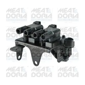 10368 MEAT & DORIA