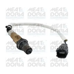 811005E MEAT & DORIA