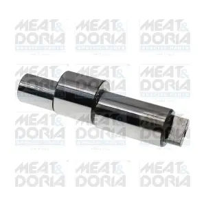 98667 MEAT & DORIA
