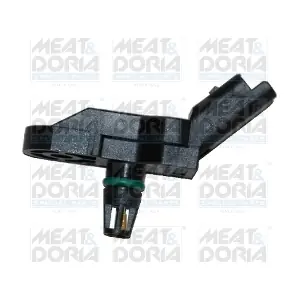 82145 MEAT & DORIA
