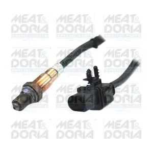 81733 MEAT & DORIA