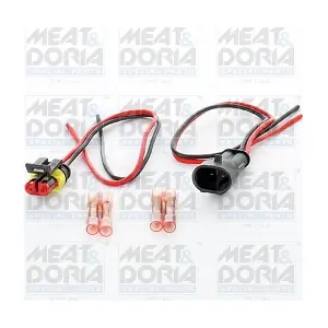 25129 MEAT & DORIA