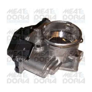 89055 MEAT & DORIA