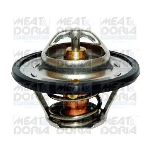 92095 MEAT & DORIA