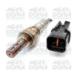 81684 MEAT & DORIA