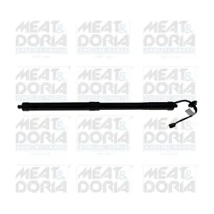 301117 MEAT & DORIA