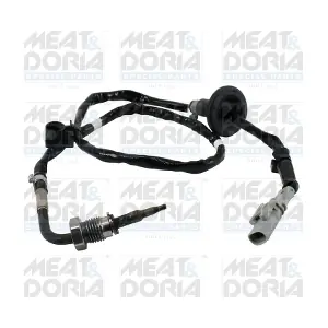 12591 MEAT & DORIA