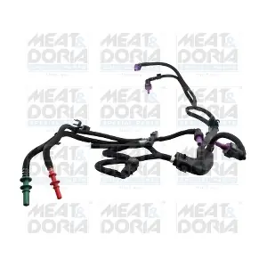 98074 MEAT & DORIA