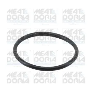01669 MEAT & DORIA