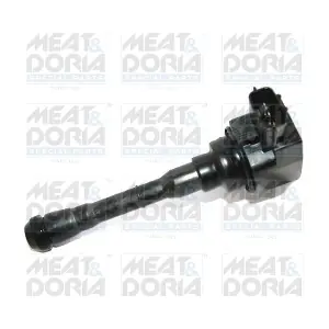 10717 MEAT & DORIA