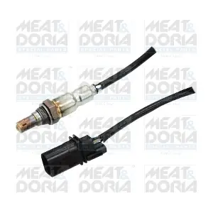 81719 MEAT & DORIA