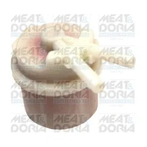4506 MEAT & DORIA