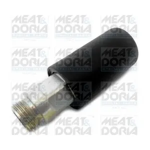 9360 MEAT & DORIA