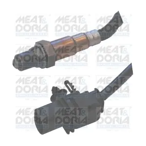 81649 MEAT & DORIA