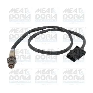811066 MEAT & DORIA