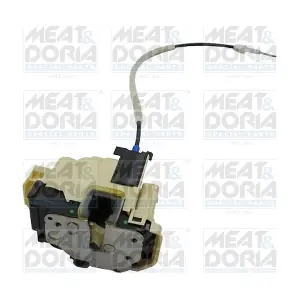 31071 MEAT & DORIA