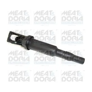 10351 MEAT & DORIA