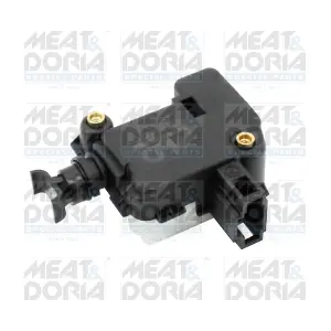 31411 MEAT & DORIA