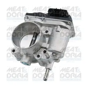 89653 MEAT & DORIA