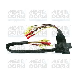 25085 MEAT & DORIA