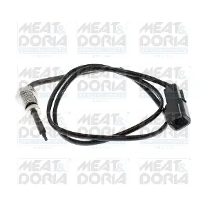 12745 MEAT & DORIA