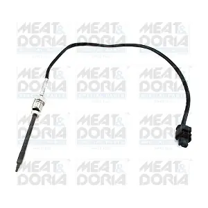 12103E MEAT & DORIA