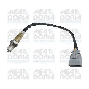 811021 MEAT & DORIA