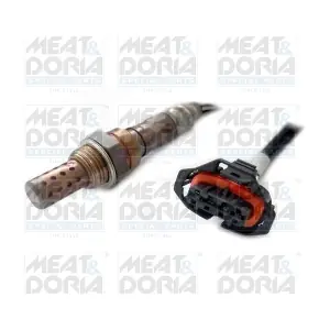 81908 MEAT & DORIA
