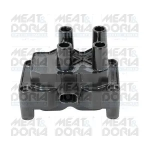 10484 MEAT & DORIA