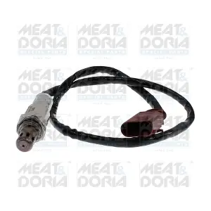 811137 MEAT & DORIA