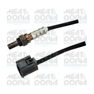 81695 MEAT & DORIA