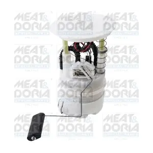 76929 MEAT & DORIA