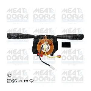 231524 MEAT & DORIA