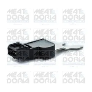 87321 MEAT & DORIA