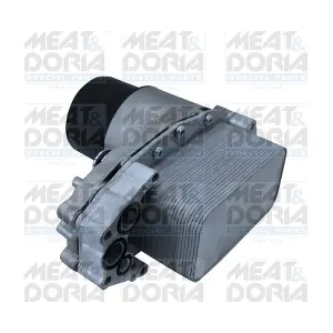95246 MEAT & DORIA
