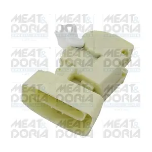 31579 MEAT & DORIA