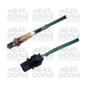 81669 MEAT & DORIA