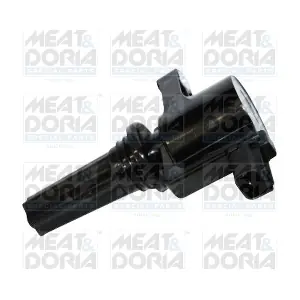 10676 MEAT & DORIA