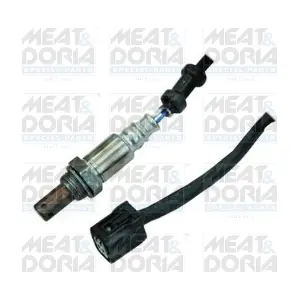 81720 MEAT & DORIA