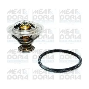 92292 MEAT & DORIA