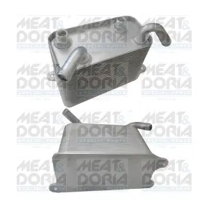 95183 MEAT & DORIA