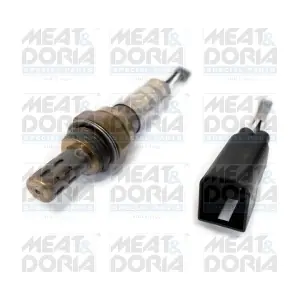 81060 MEAT & DORIA